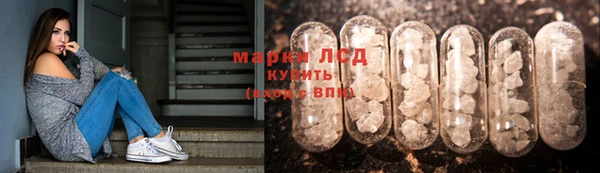 стаф Арсеньев