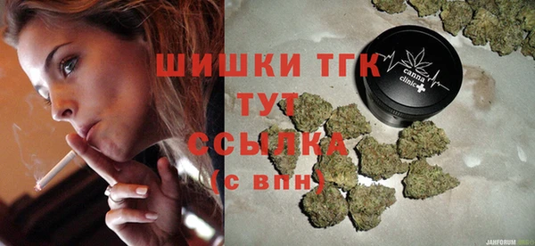 стаф Арсеньев