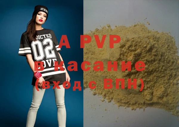 стаф Арсеньев
