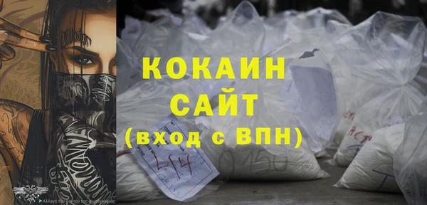 стаф Арсеньев