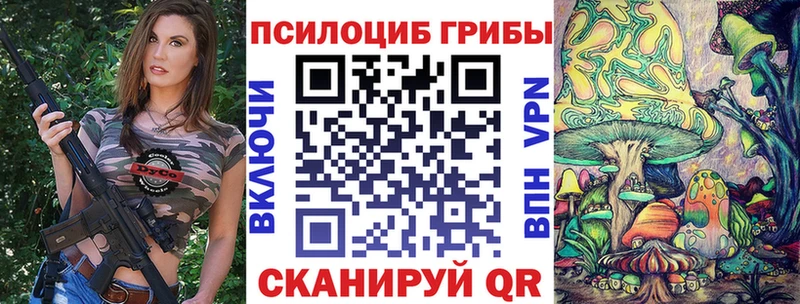 Галлюциногенные грибы мицелий  Пугачёв 